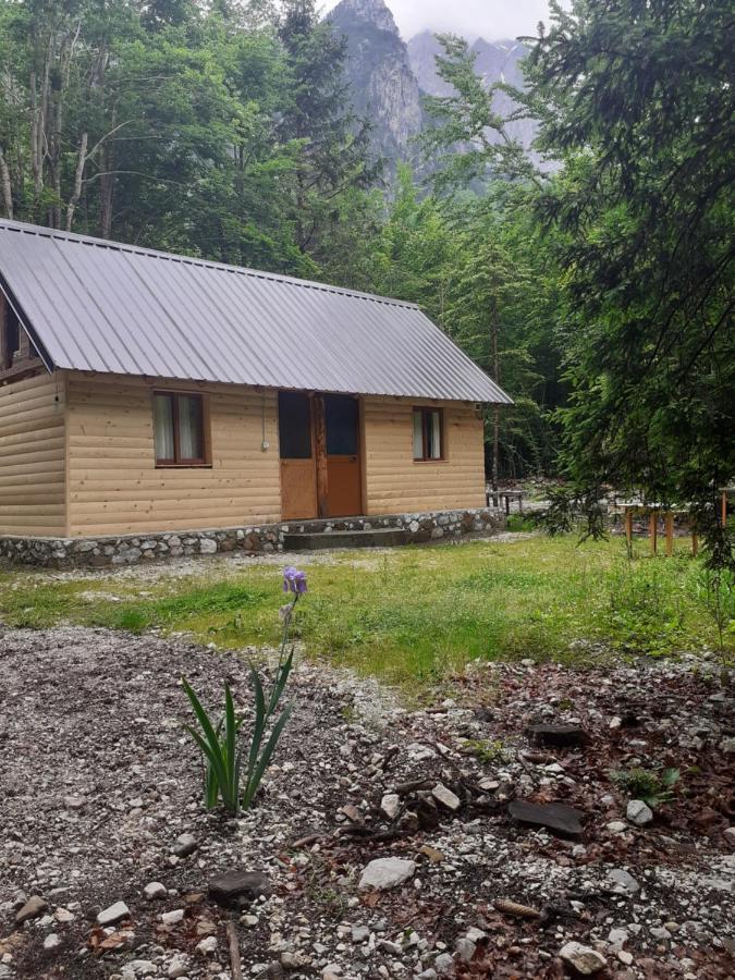Guesthouse Dioni Валбона Екстериор снимка