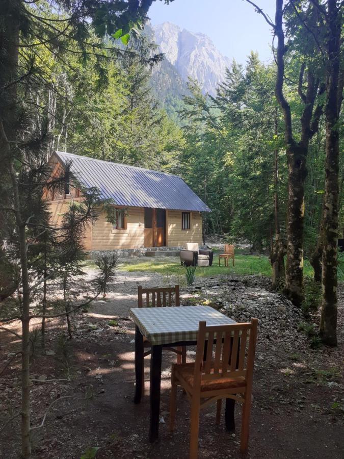 Guesthouse Dioni Валбона Екстериор снимка