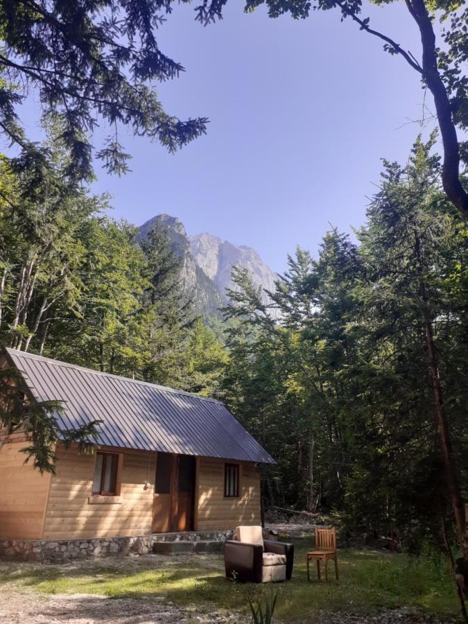 Guesthouse Dioni Валбона Екстериор снимка