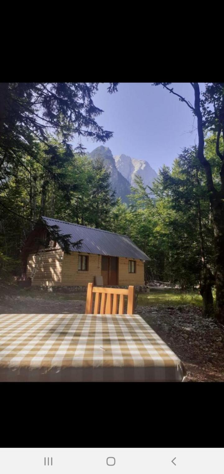 Guesthouse Dioni Валбона Екстериор снимка